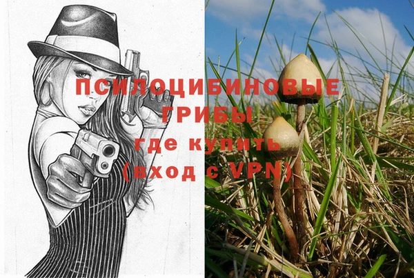 хмурый Майский