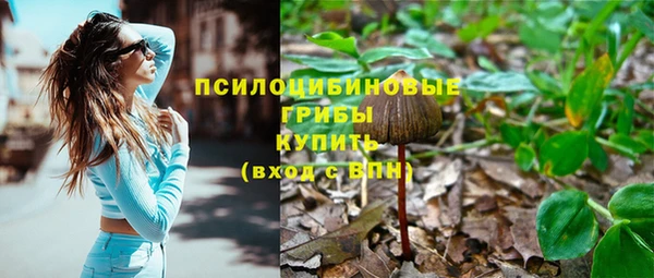 а пвп мука Магадан