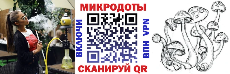 наркошоп  Юрьевец  Псилоцибиновые грибы MAGIC MUSHROOMS 